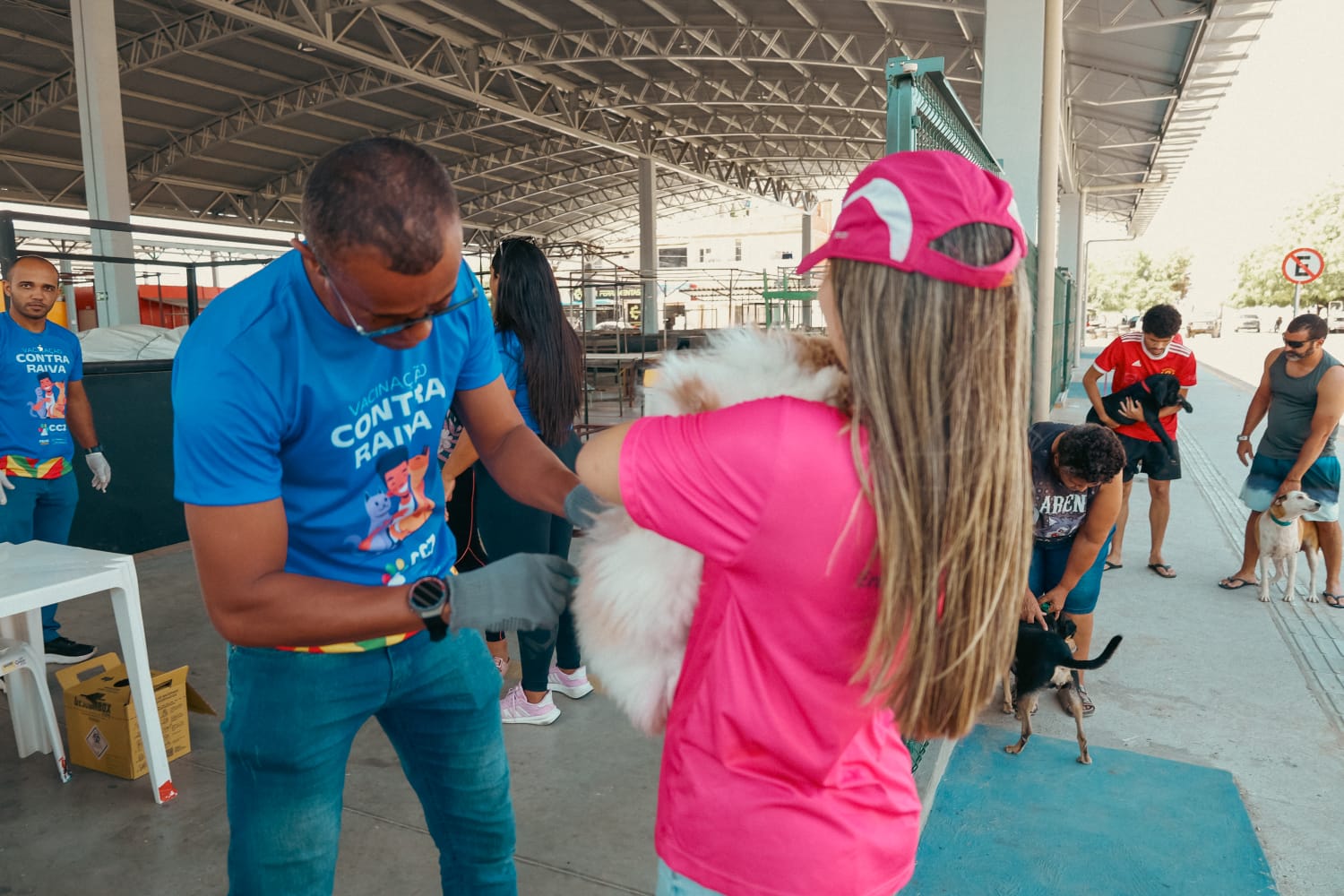Vacinação antirrábica segue por bairros de Petrolina com ação porta a porta